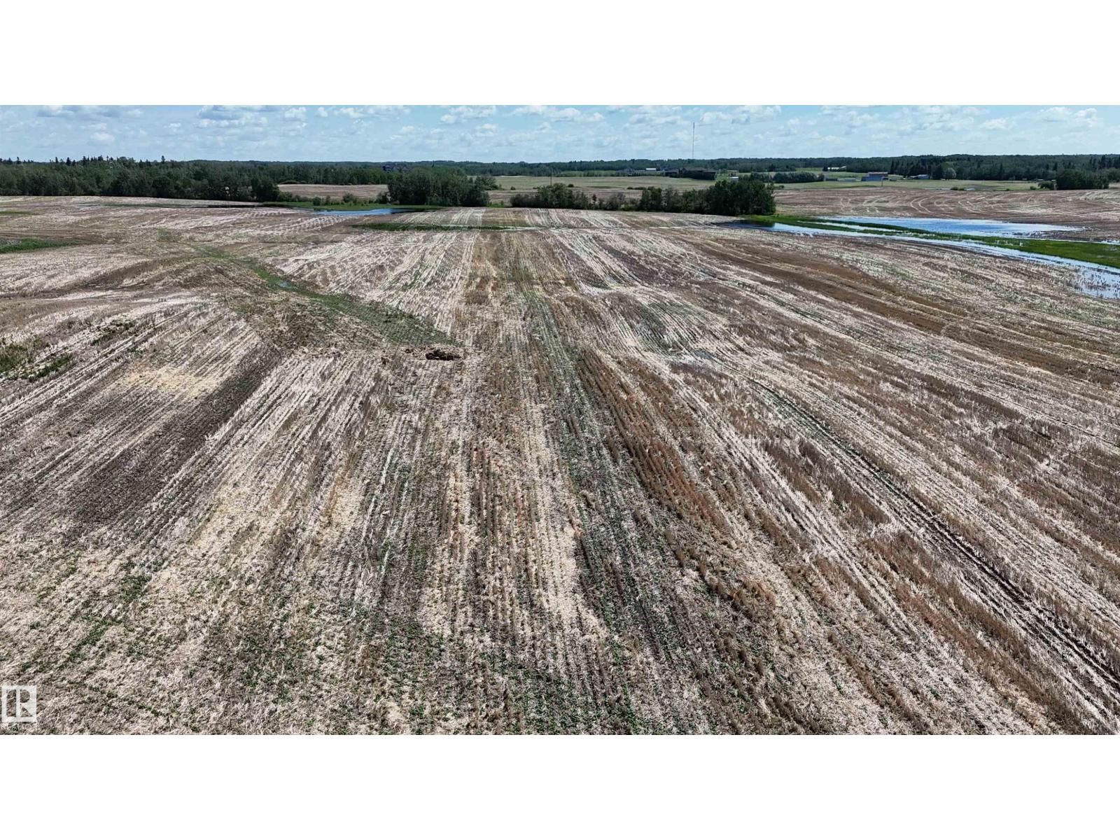 51421 Rr 233, Rural Strathcona County, Alberta  T8B 1L1 - Photo 9 - E4498603
