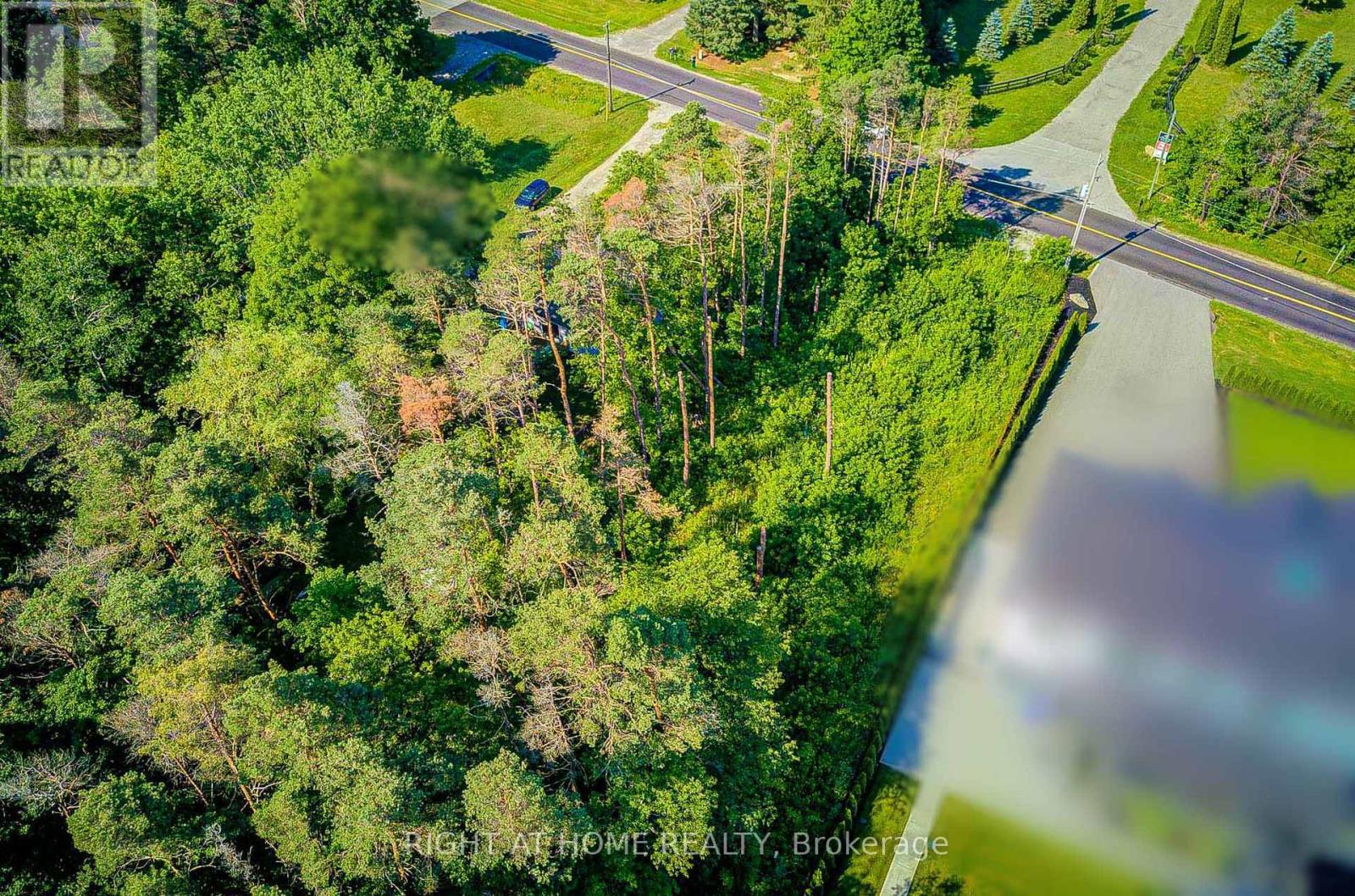 16895 Mccowan Road, Whitchurch-Stouffville, Ontario  L0G 1E0 - Photo 13 - N13559116