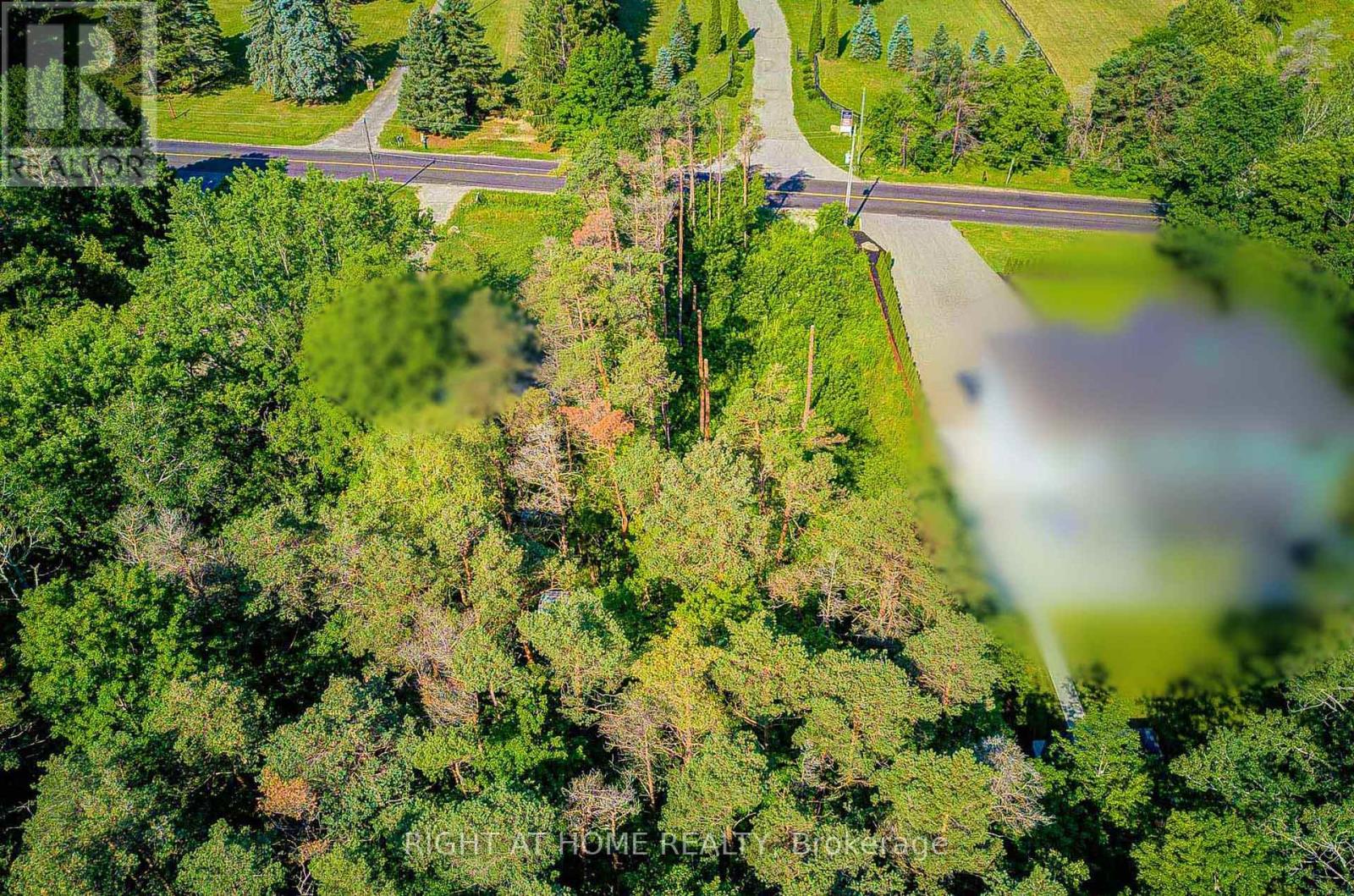 16895 Mccowan Road, Whitchurch-Stouffville, Ontario  L0G 1E0 - Photo 14 - N13559116