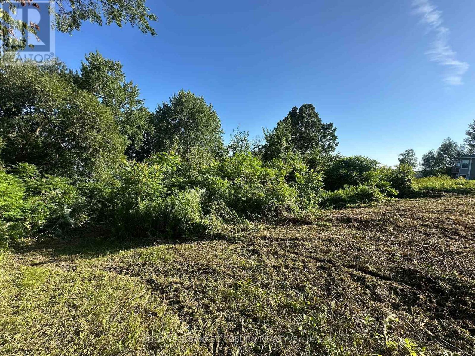 00 County Road 2 Road, Edwardsburgh/cardinal, Ontario  K0E 1E0 - Photo 4 - X13559194