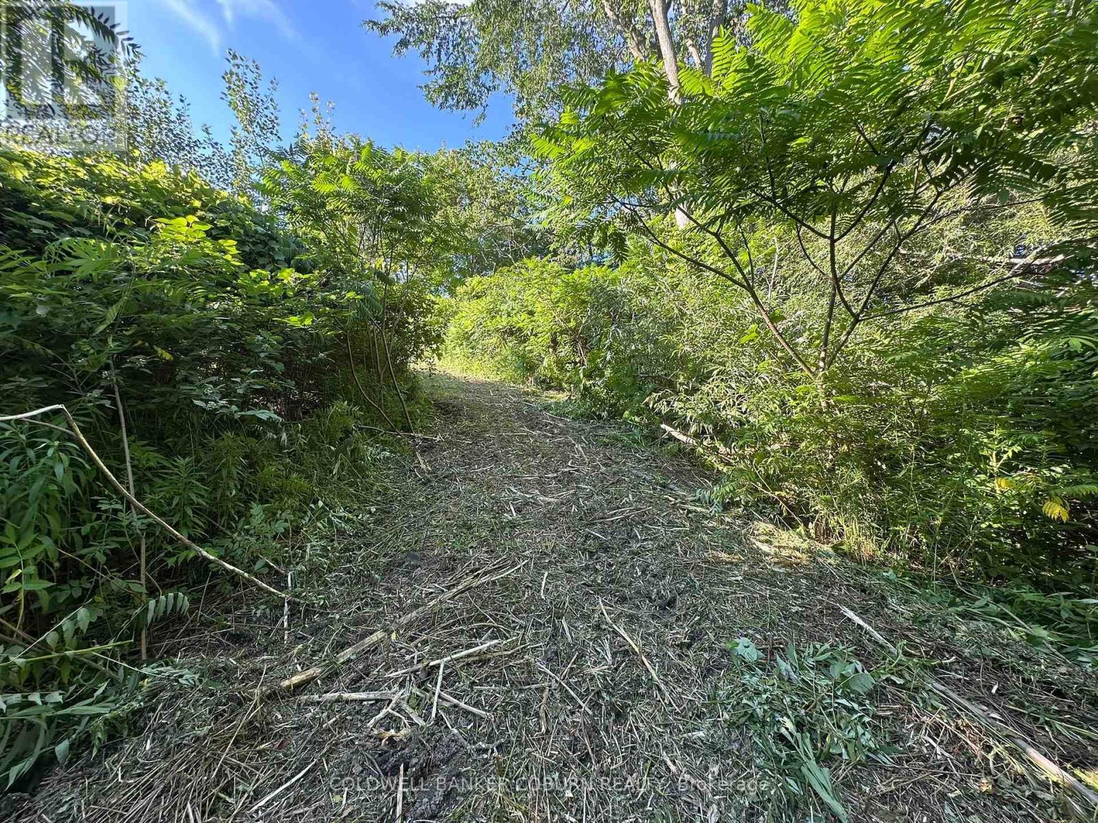 00 County Road 2 Road, Edwardsburgh/cardinal, Ontario  K0E 1E0 - Photo 6 - X13559194