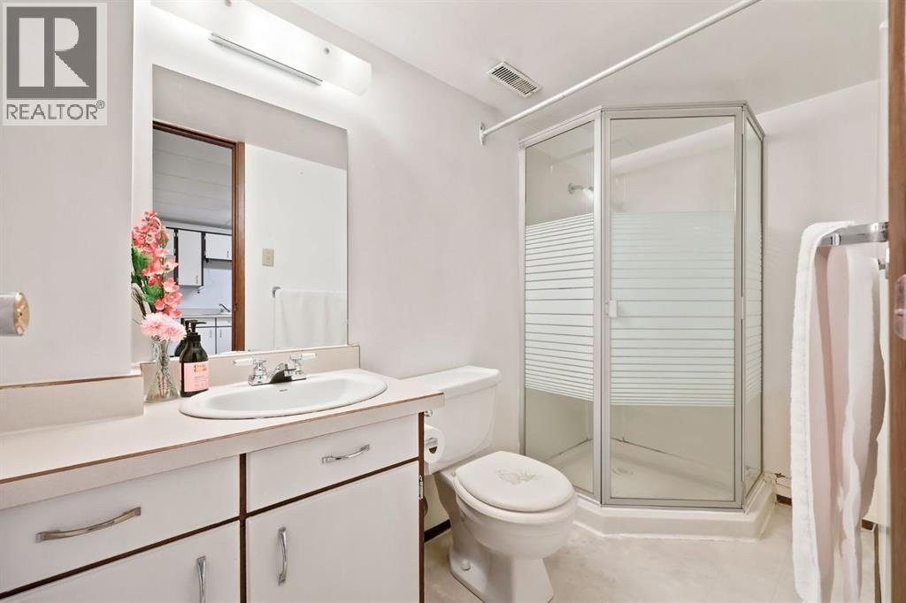 4308 38 Street Ne, Calgary, Alberta  T1Y 5S8 - Photo 27 - A2323384