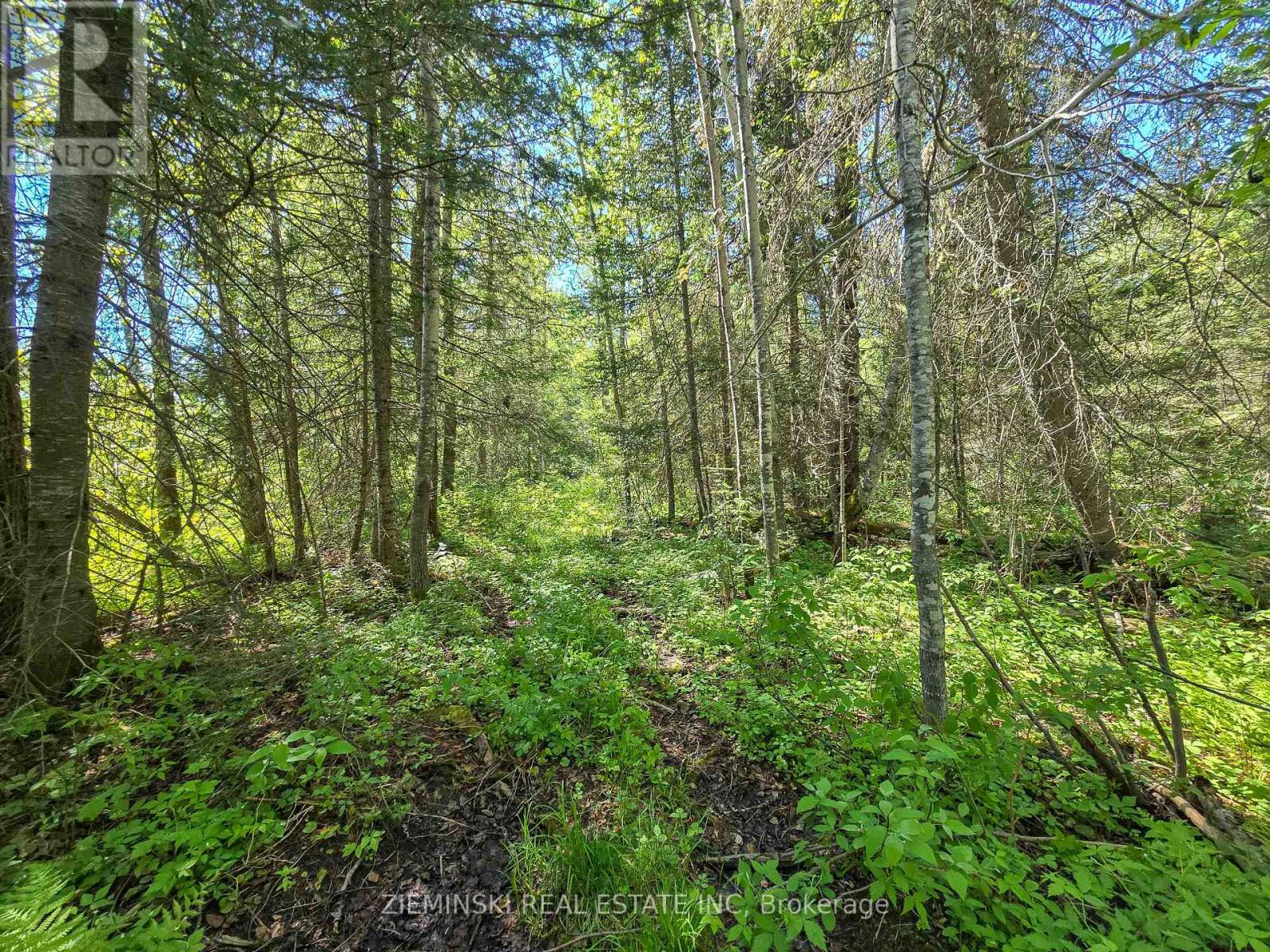 Lot 14 Con 9 Blount Twsp, Cochrane, Ontario P0L 1C0 - Photo 10 - T13559266