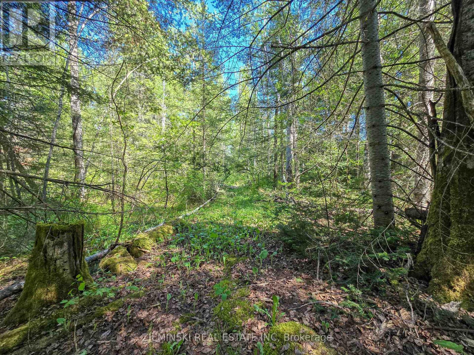 Lot 14 Con 9 Blount Twsp, Cochrane, Ontario P0L 1C0 - Photo 4 - T13559266
