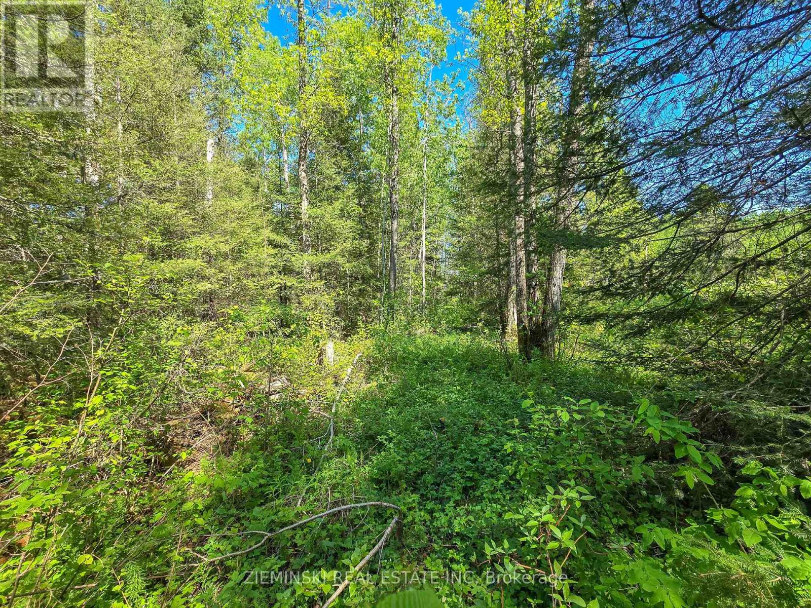 Lot 14 Con 9 Blount Twsp, Cochrane, Ontario P0L 1C0 - Photo 6 - T13559266