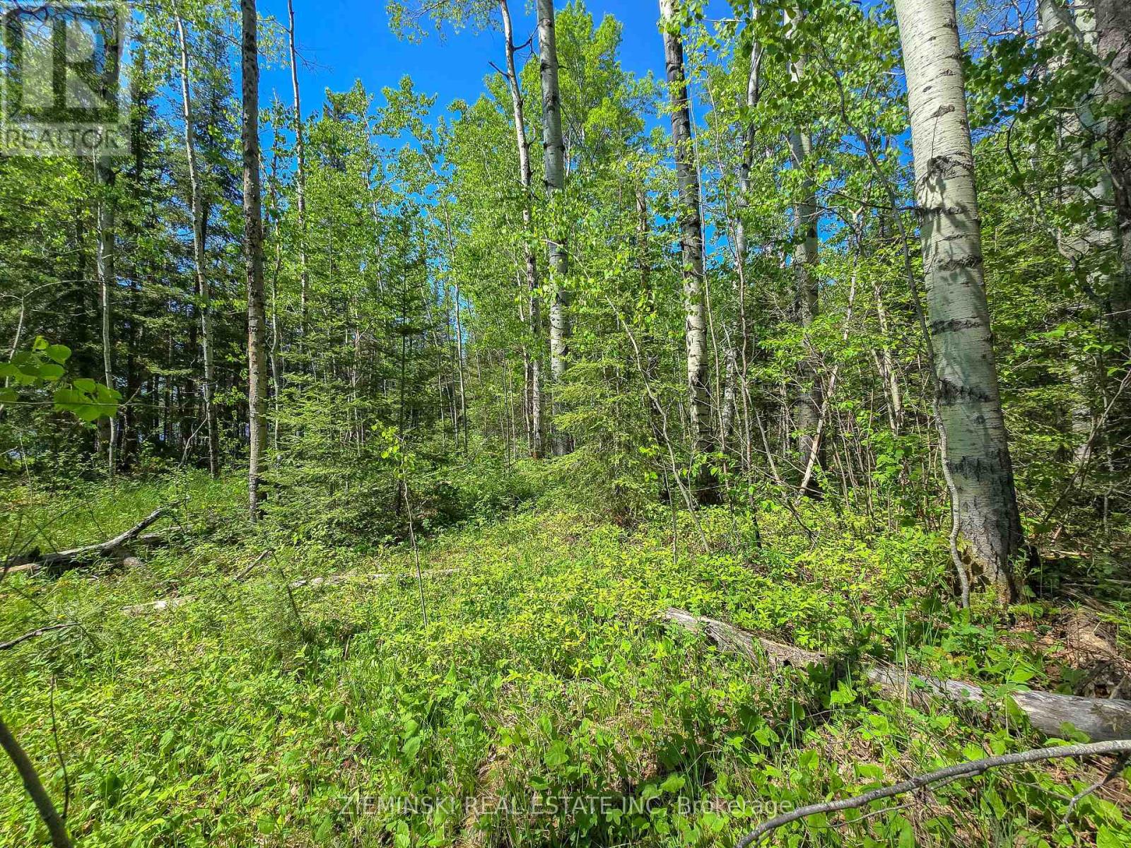 Lot 14 Con 9 Blount Twsp, Cochrane, Ontario P0L 1C0 - Photo 7 - T13559266