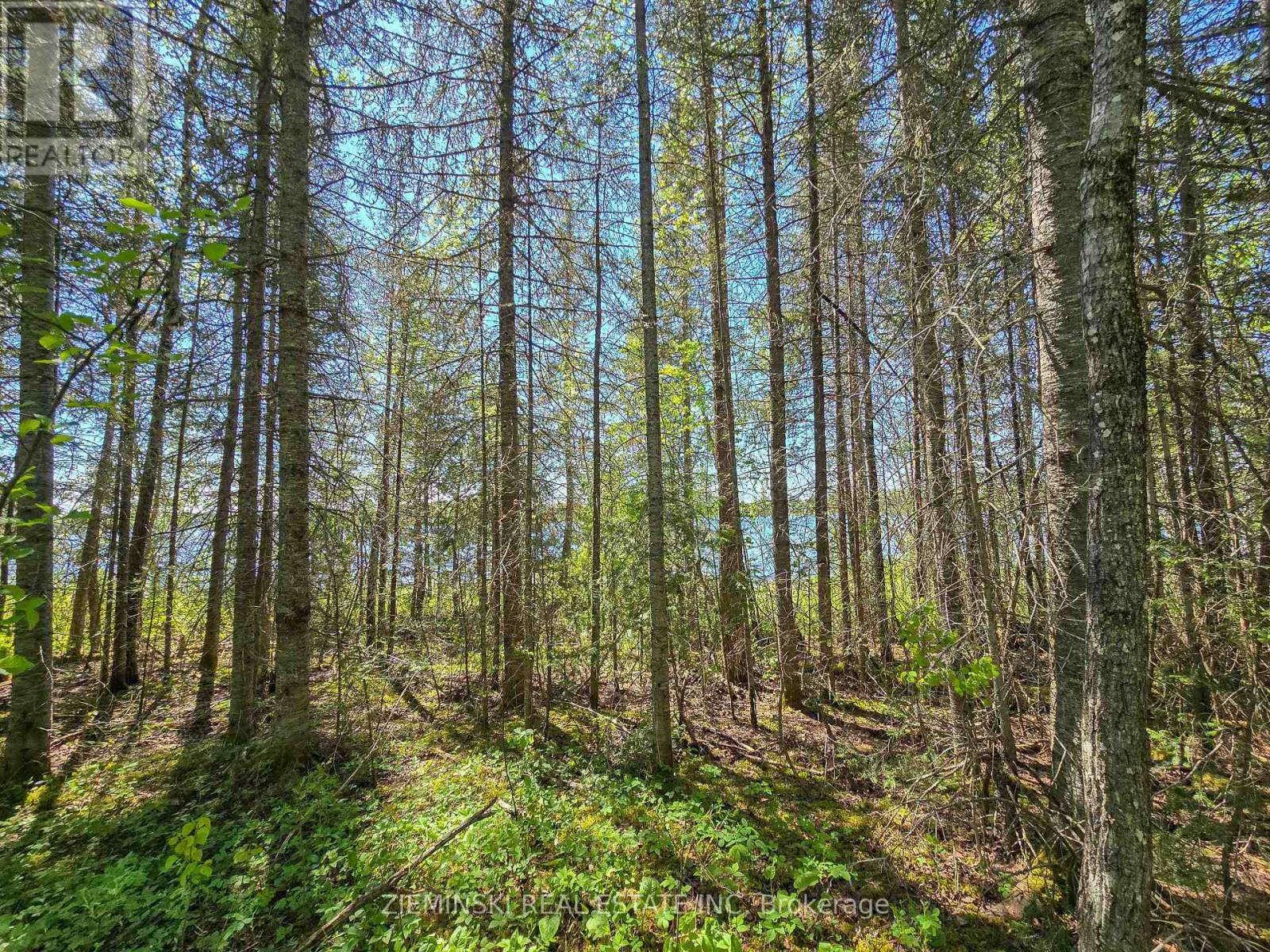 Lot 14 Con 9 Blount Twsp, Cochrane, Ontario P0L 1C0 - Photo 8 - T13559266