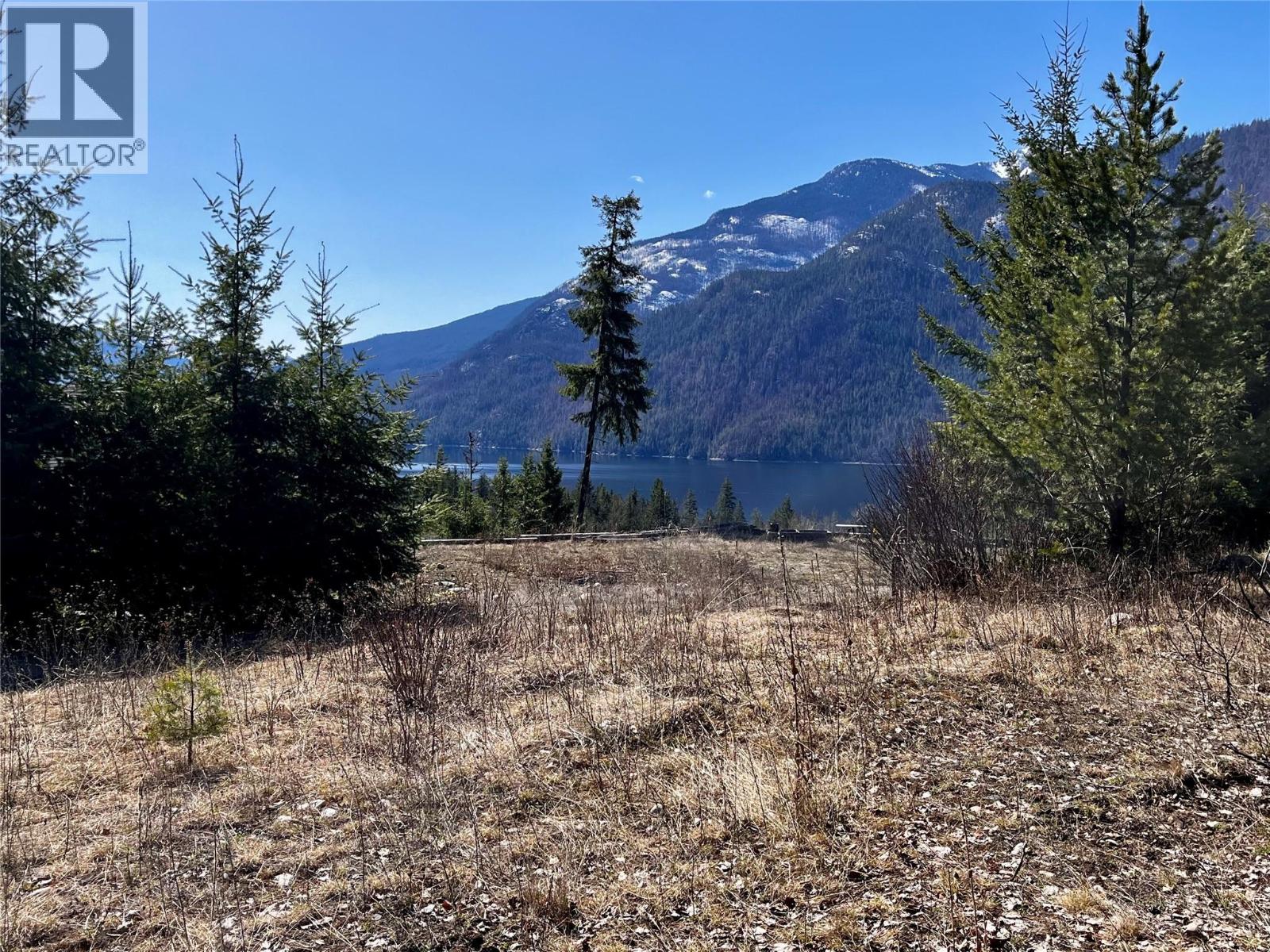 210 Fullmoon Road, Rosebery, British Columbia  V0G 1S1 - Photo 21 - 10335451