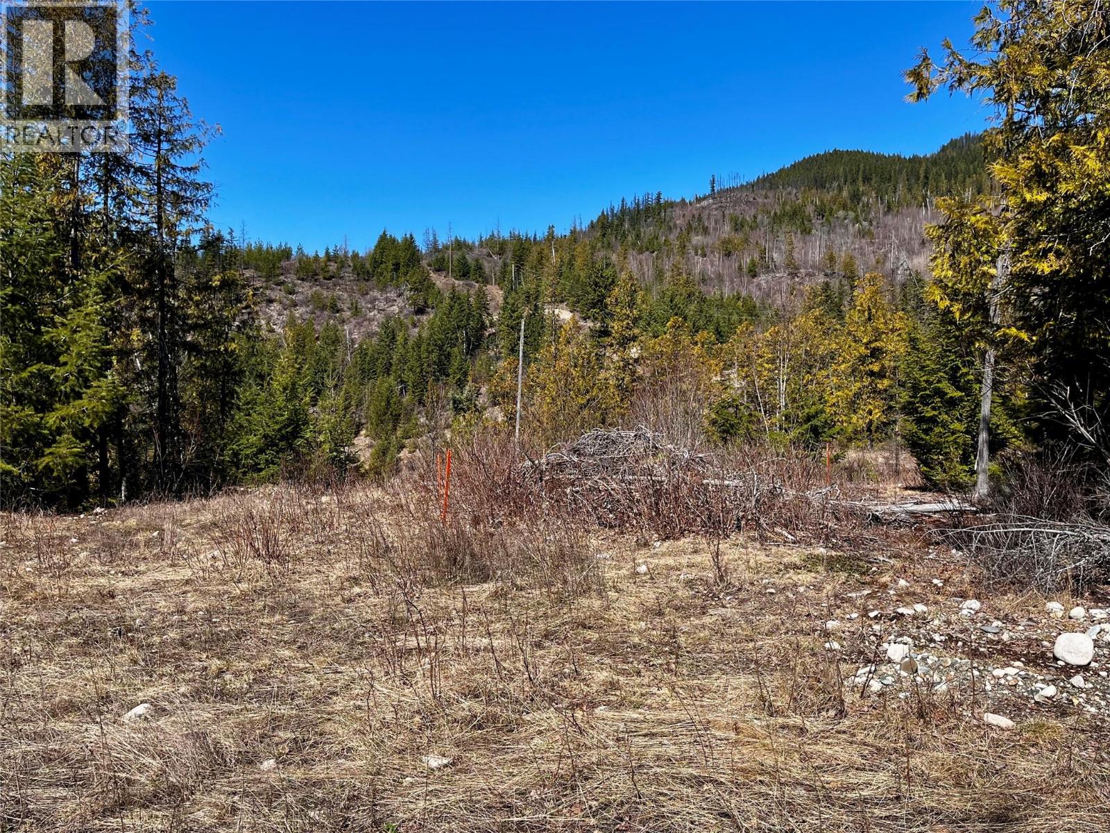 210 Fullmoon Road, Rosebery, British Columbia  V0G 1S1 - Photo 23 - 10335451