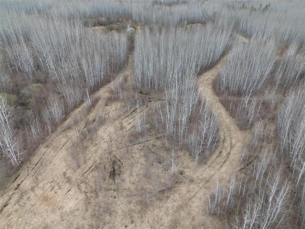 0 14 Road N, Piney Rm, Manitoba R0A 2J0 - Photo 7 - 202610754