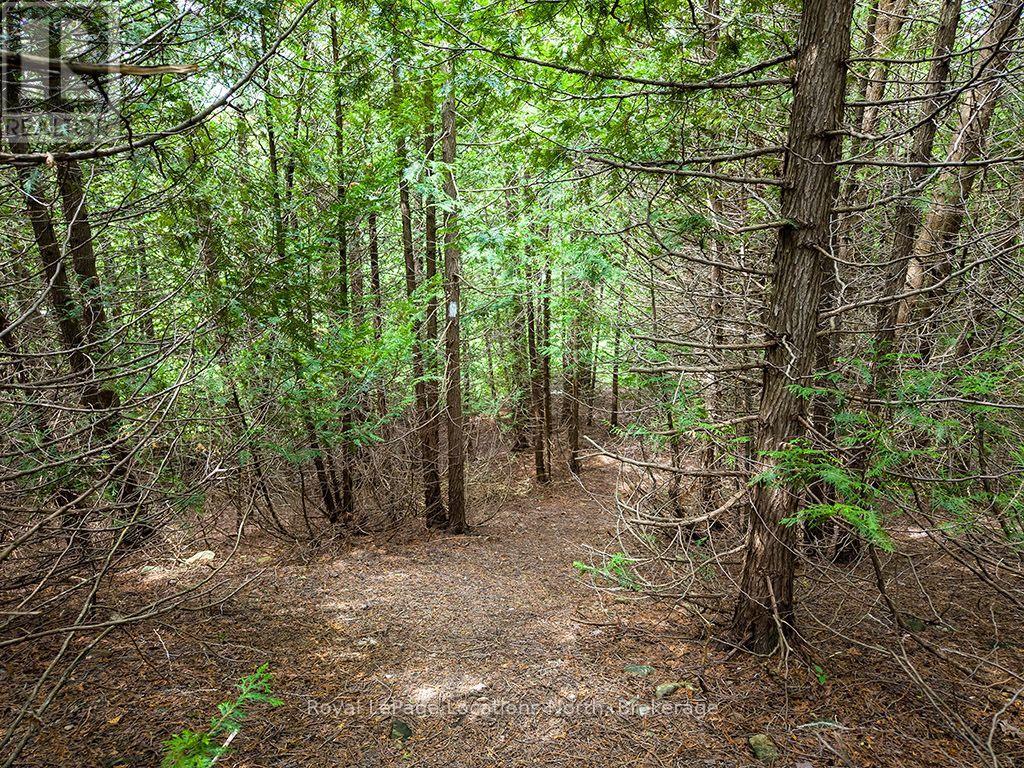 102 Mill Street, Grey Highlands, Ontario  N0C 1E0 - Photo 32 - X13559482