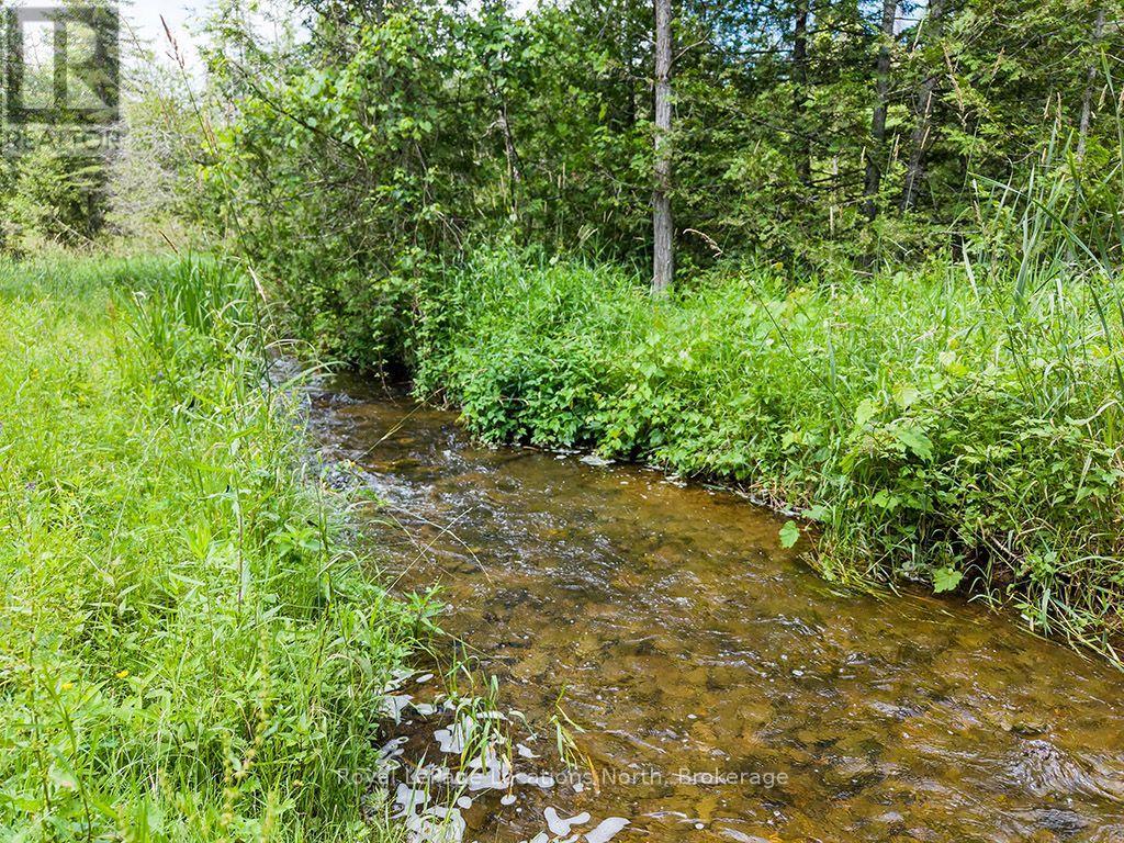 102 Mill Street, Grey Highlands, Ontario  N0C 1E0 - Photo 33 - X13559482