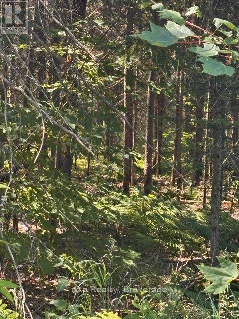 2a  Pt Lt 12 Con 2 Boundary Road, Parry Sound Remote Area, Ontario  P0A 1X0 - Photo 2 - X13559976