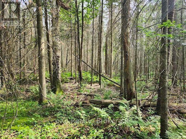 1a   Pt Lt 12 Con 2 Boundary Road, Parry Sound Remote Area, Ontario  P0A 1X0 - Photo 2 - X13559978