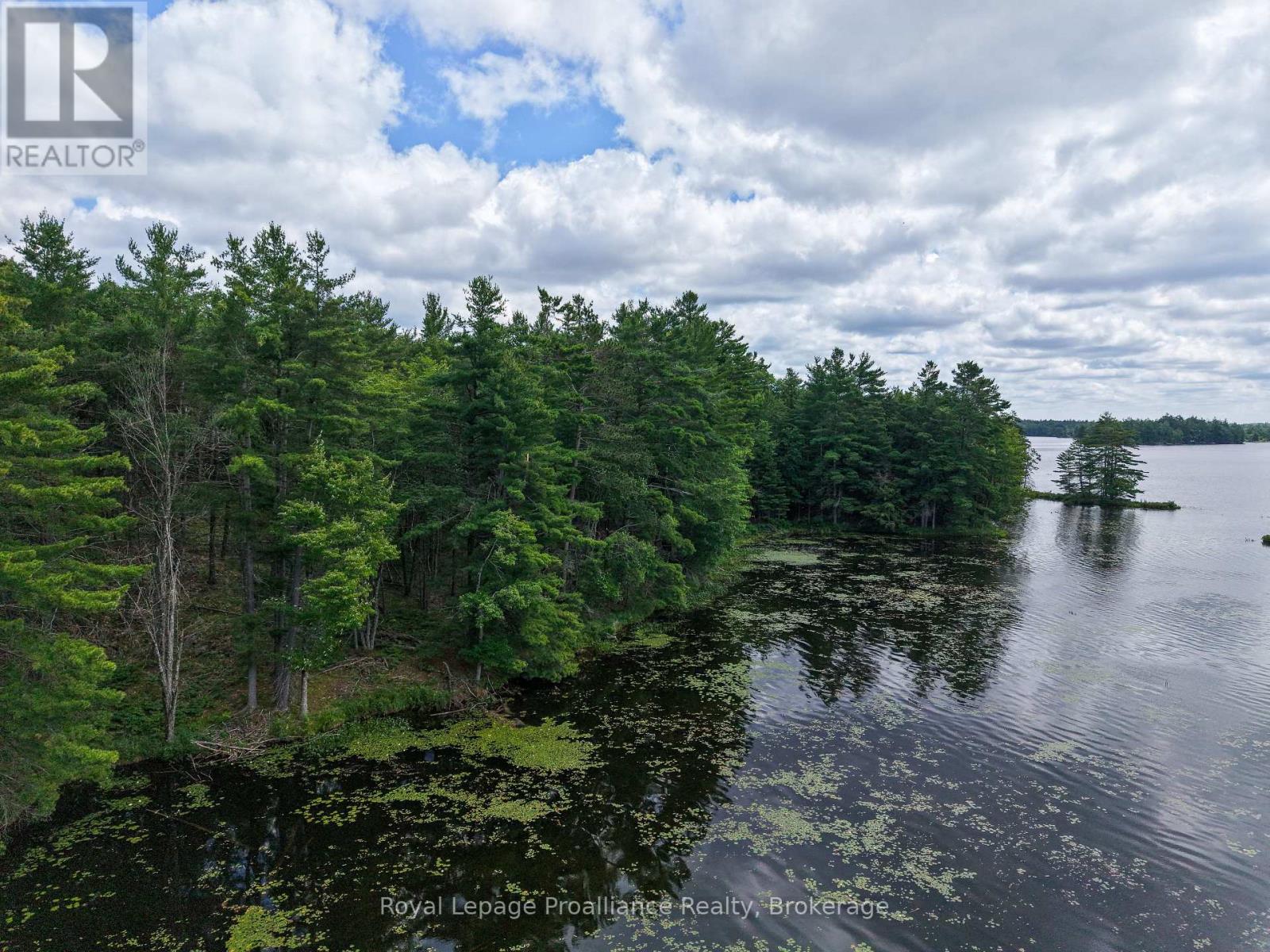 2 Wao Kasshabog Lake, Havelock-Belmont-Methuen, Ontario  K0L 2H0 - Photo 14 - X13559952