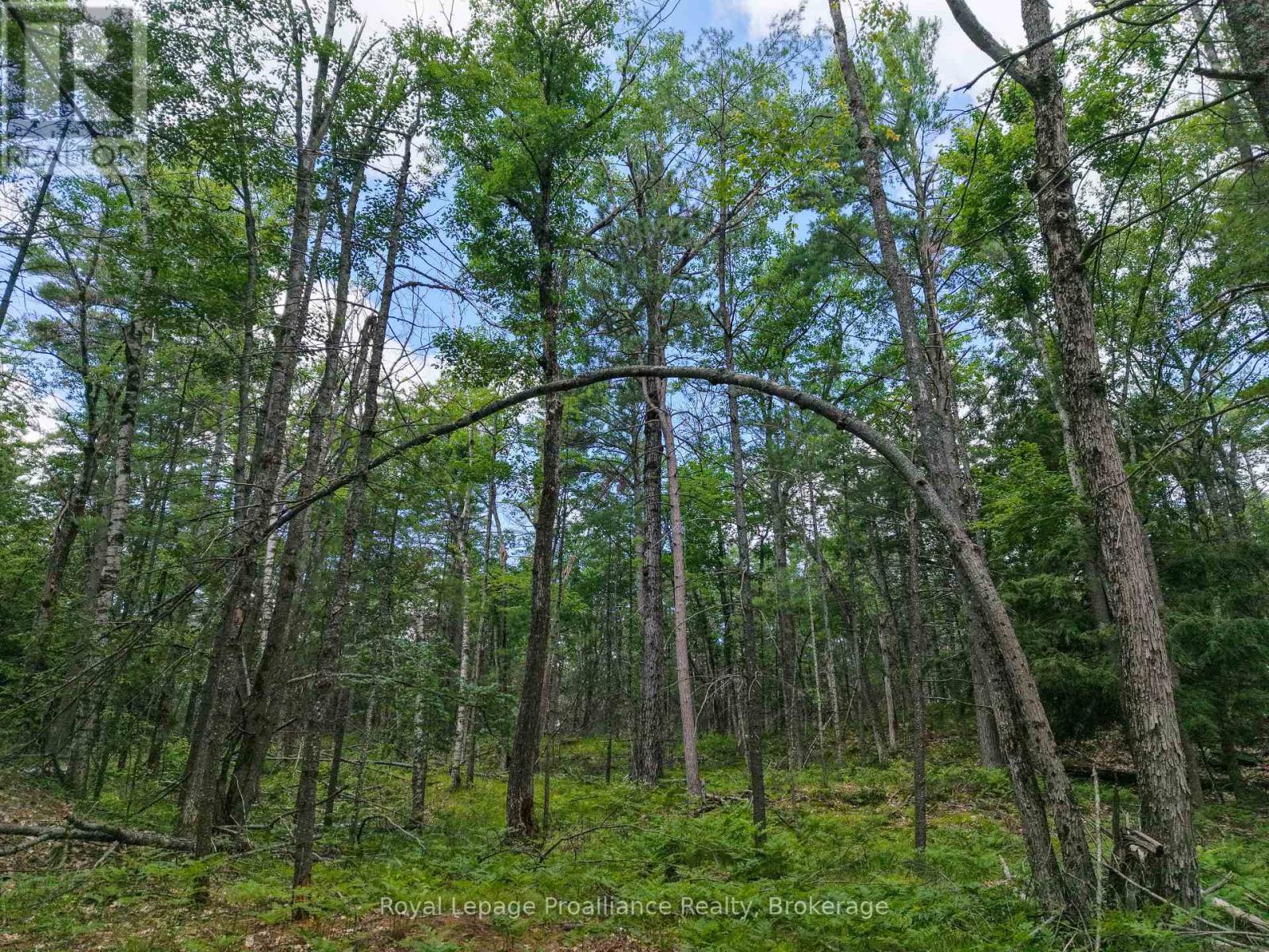 2 Wao Kasshabog Lake, Havelock-Belmont-Methuen, Ontario  K0L 2H0 - Photo 28 - X13559952