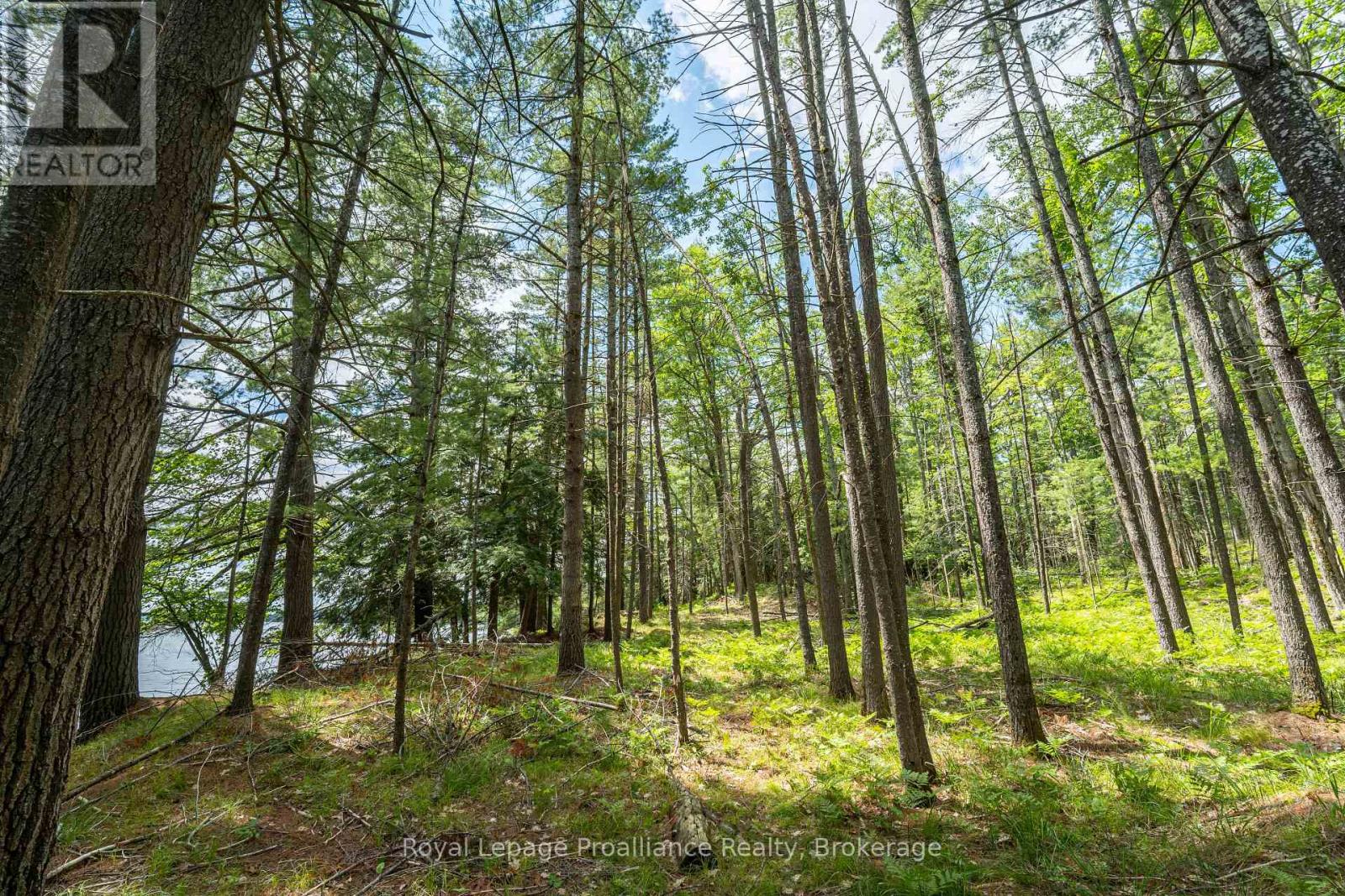 2 Wao Kasshabog Lake, Havelock-Belmont-Methuen, Ontario  K0L 2H0 - Photo 5 - X13559952