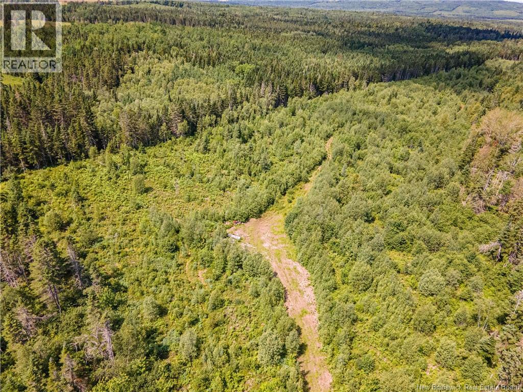 1565 Knightville Road, Knightville, New Brunswick E4G 1C8 - Photo 8 - NB143522