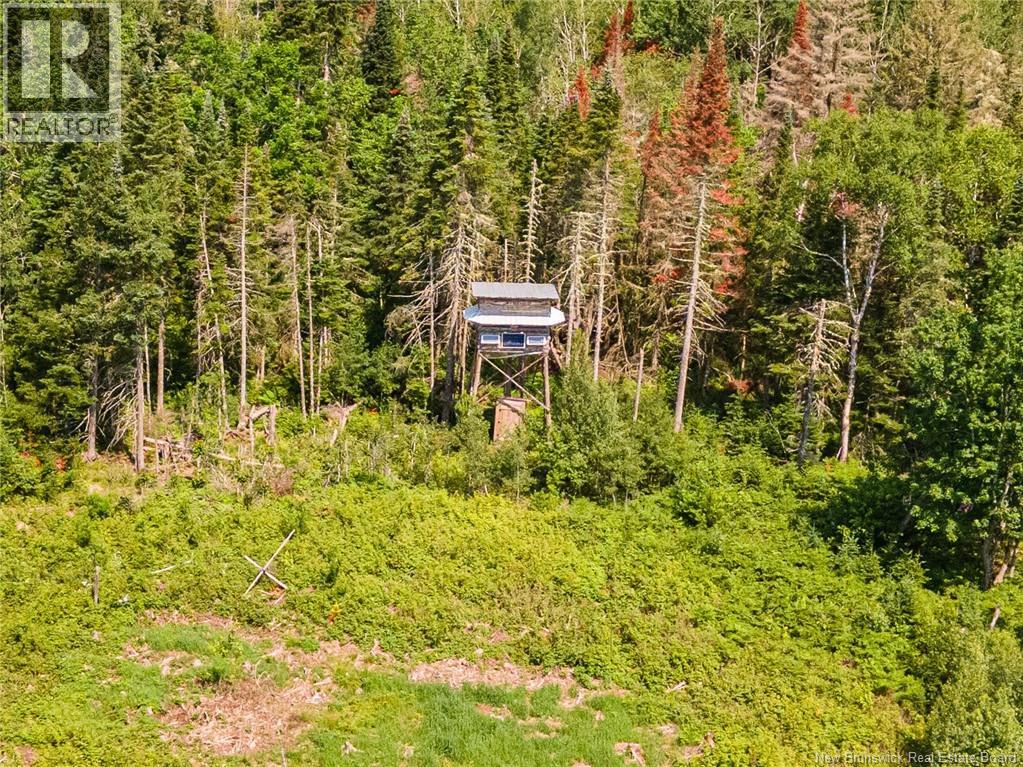 1565 Knightville Road, Knightville, New Brunswick E4G 1C8 - Photo 2 - NB143522