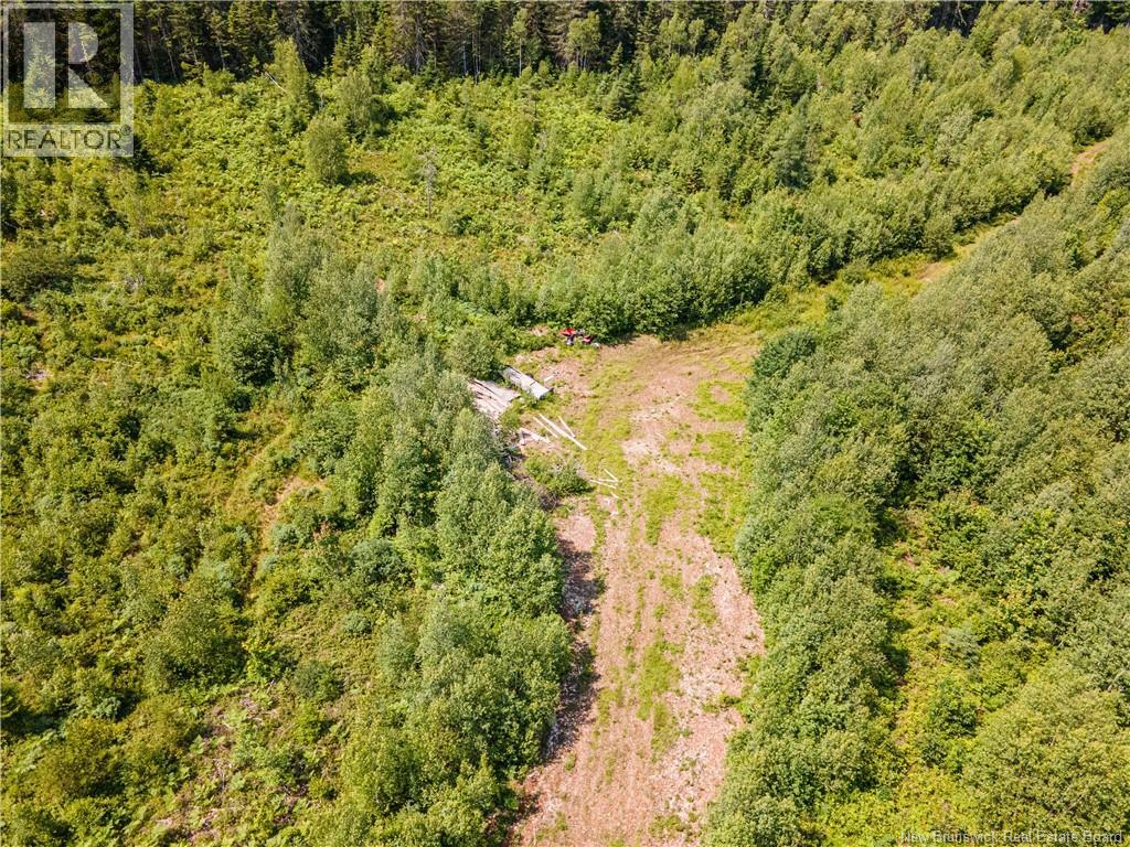 1565 Knightville Road, Knightville, New Brunswick E4G 1C8 - Photo 7 - NB143522