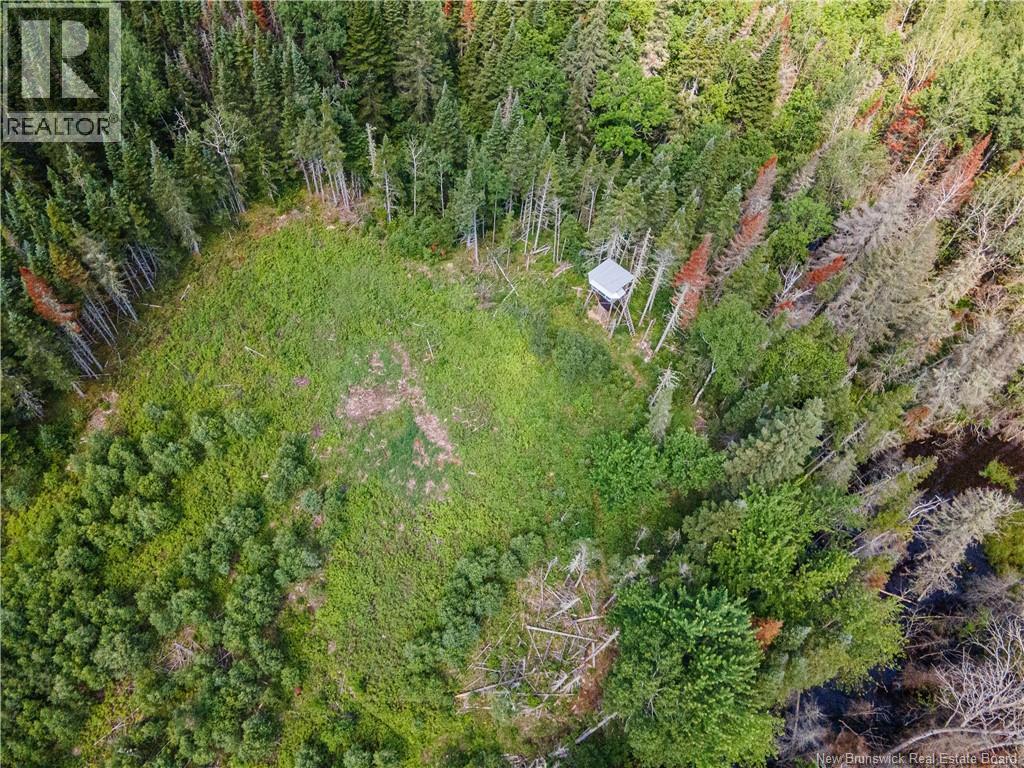 1565 Knightville Road, Knightville, New Brunswick E4G 1C8 - Photo 3 - NB143522