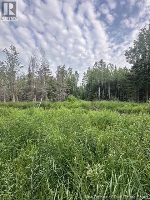1565 Knightville Road, Knightville, New Brunswick E4G 1C8 - Photo 16 - NB143522