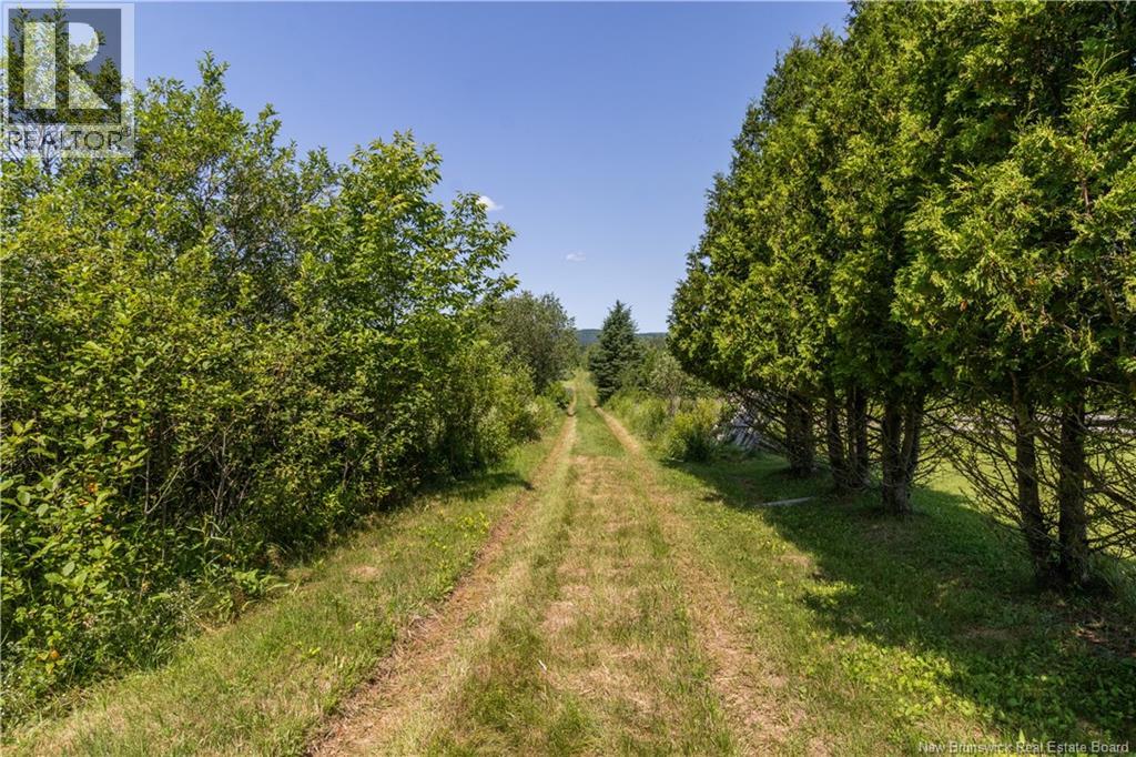 1565 Knightville Road, Knightville, New Brunswick E4G 1C8 - Photo 6 - NB143522