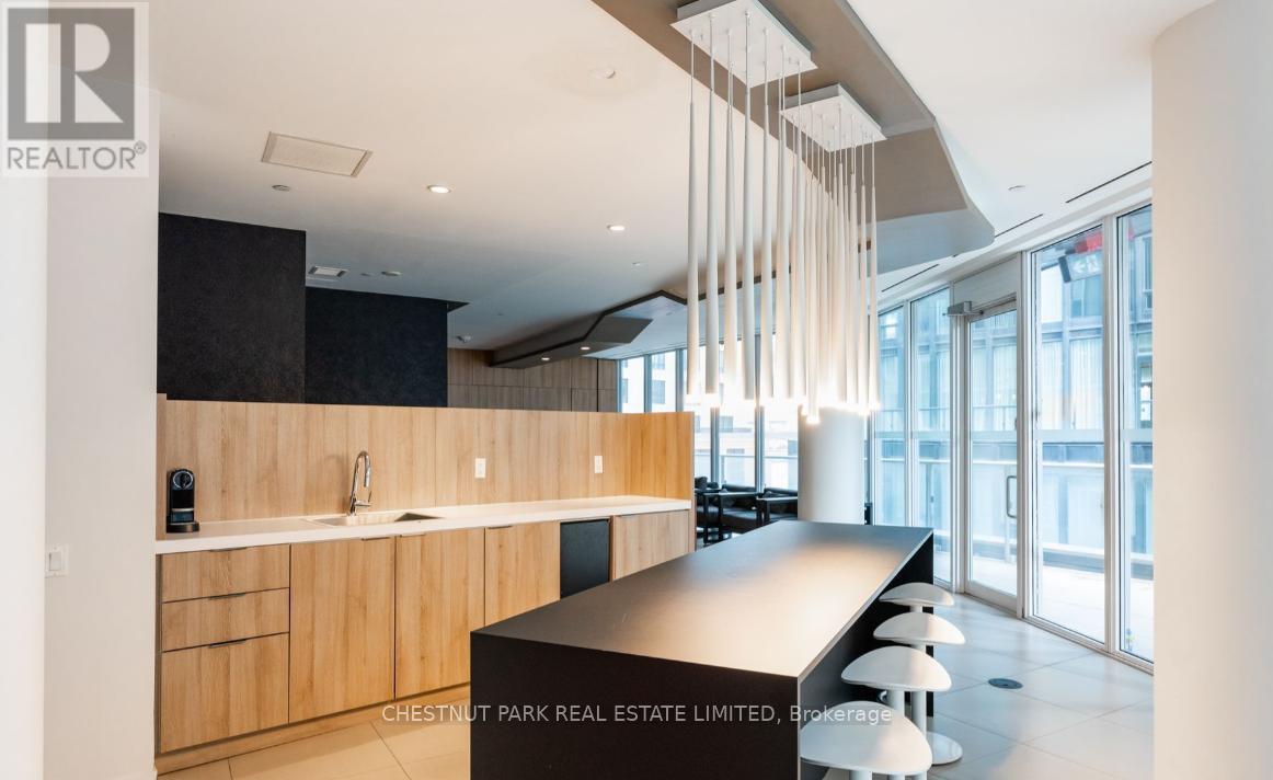 Th 2 - 68 Shuter Street, Toronto, Ontario M5B 1B4 - Photo 11 - C13560574