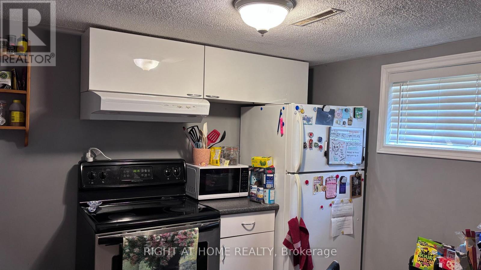Lower - 292 Farewell Street, Oshawa, Ontario L1H 6L9 - Photo 13 - E13560670