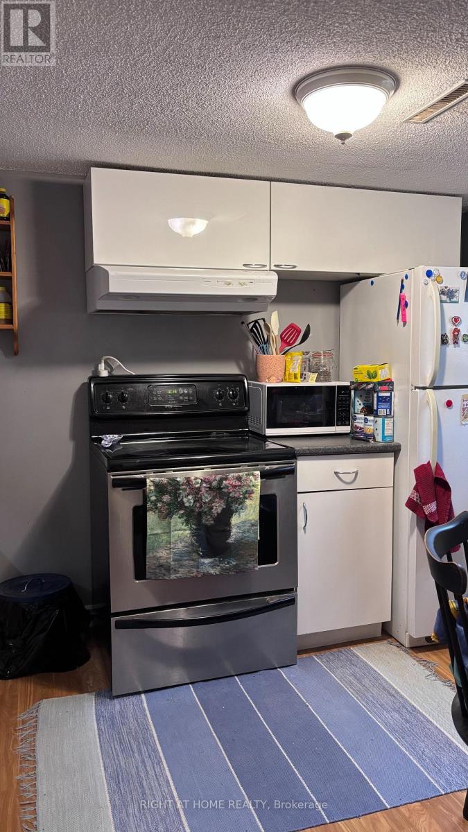 Lower - 292 Farewell Street, Oshawa, Ontario L1H 6L9 - Photo 14 - E13560670