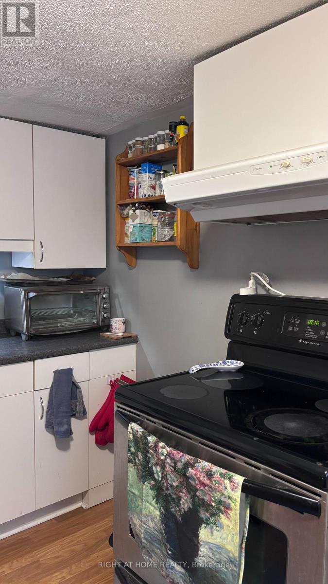 Lower - 292 Farewell Street, Oshawa, Ontario L1H 6L9 - Photo 20 - E13560670