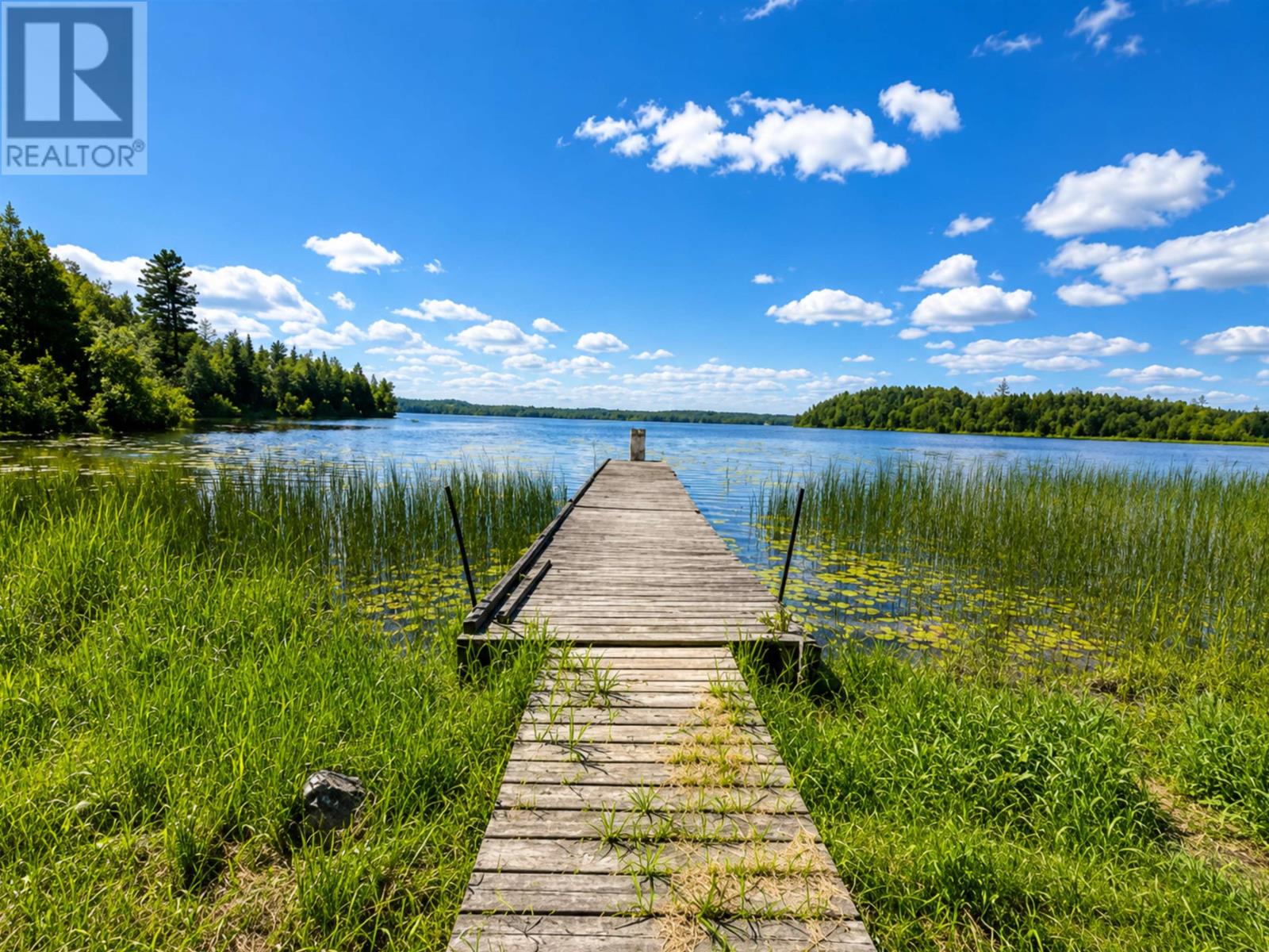 D742 Dam Rd, Emo, Ontario  P0W 1E0 - Photo 26 - TB2601905