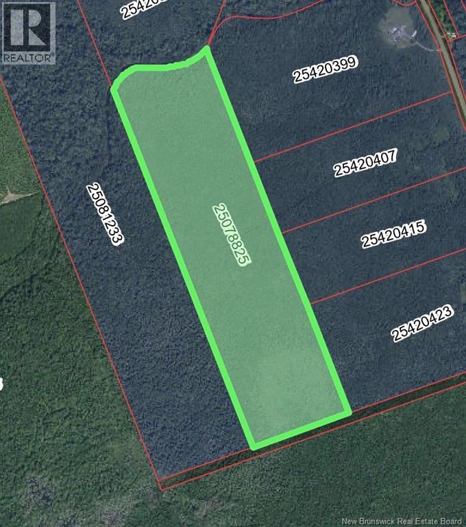 Lot Emerson (Back) Road, Beersville, New Brunswick  E4T 2M5 - Photo 2 - NB131525