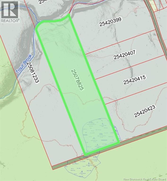 Lot Emerson (Back) Road, Beersville, New Brunswick  E4T 2M5 - Photo 3 - NB131525