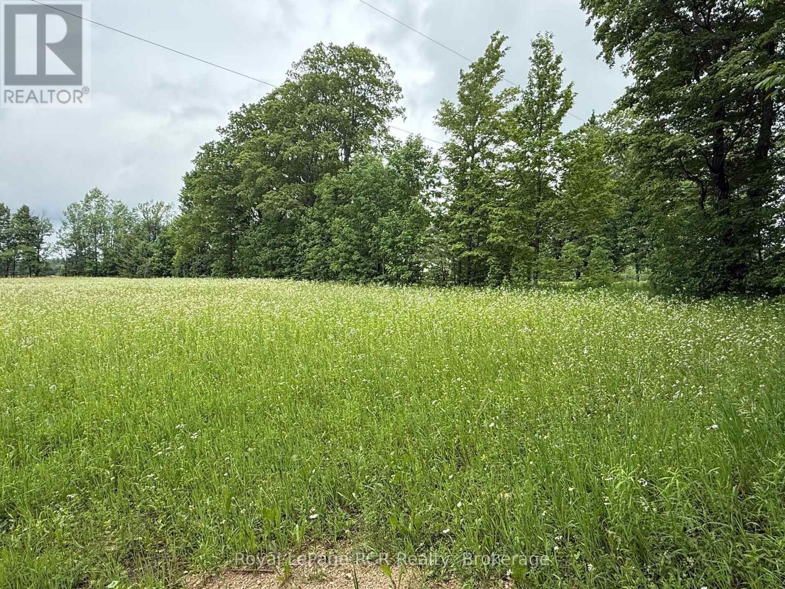 Lot 2 Part Lot 17 Bells Lake Road, West Grey, Ontario  N0C 1H0 - Photo 3 - X13561192