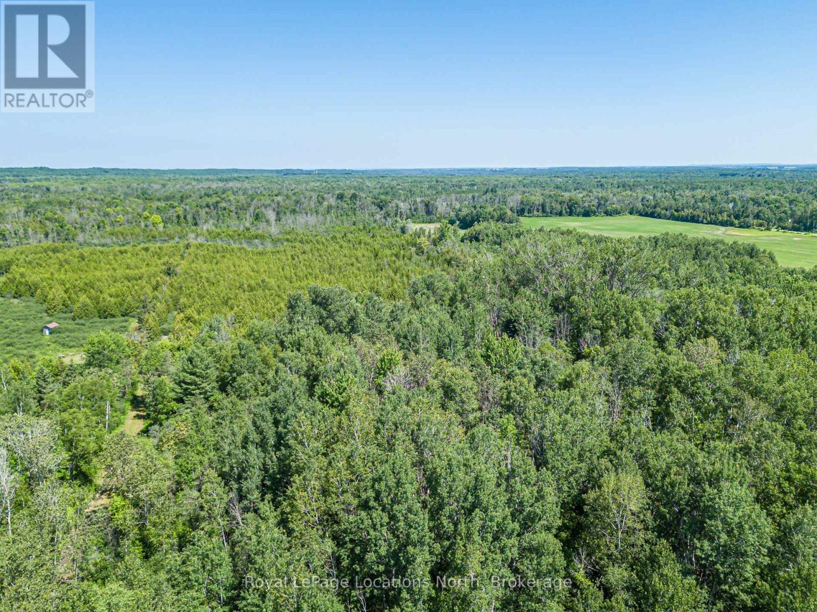 4080 12 Concession, Clearview, Ontario  L0M 1S0 - Photo 5 - S13561412