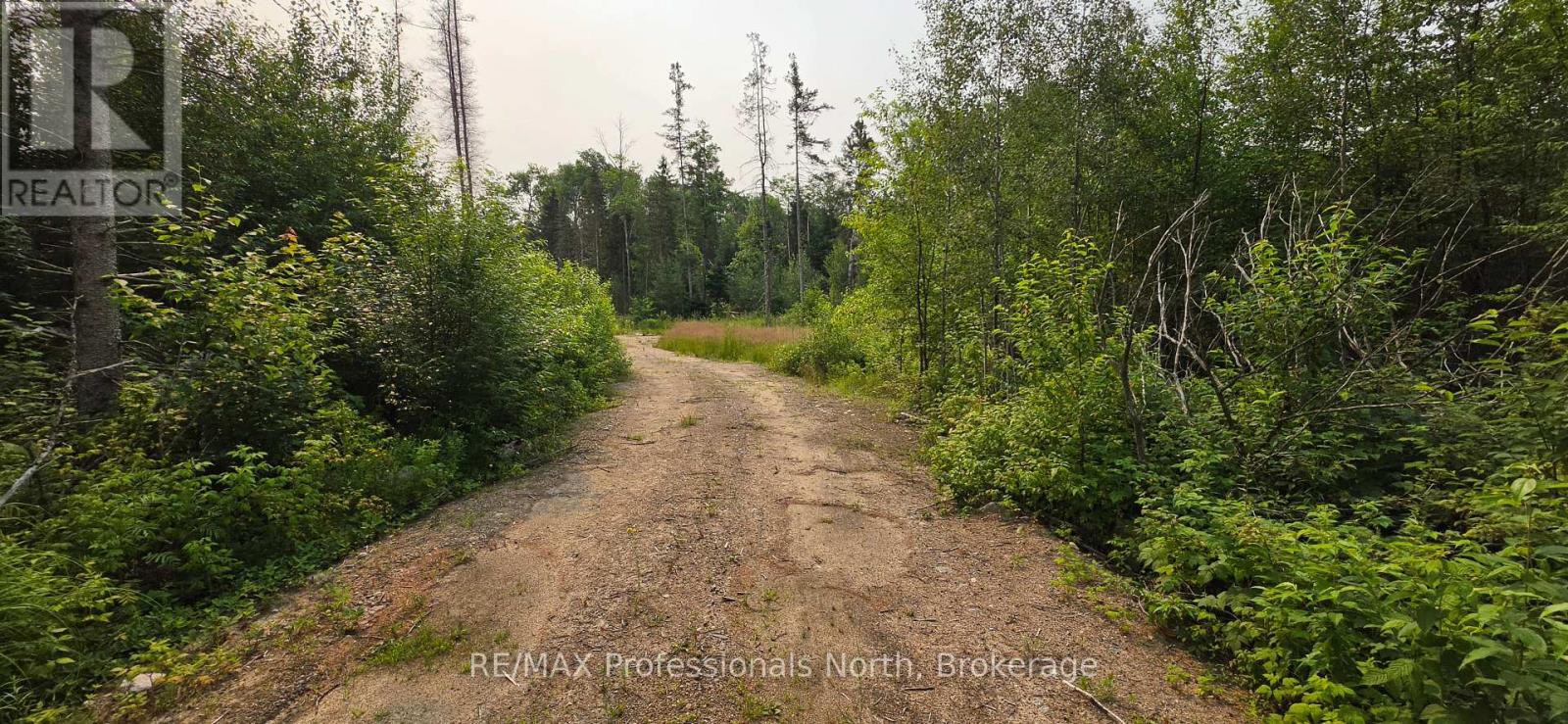 715 Pickeral And Jack Lake Road, Armour, Ontario  P0A 1J0 - Photo 4 - X13561650