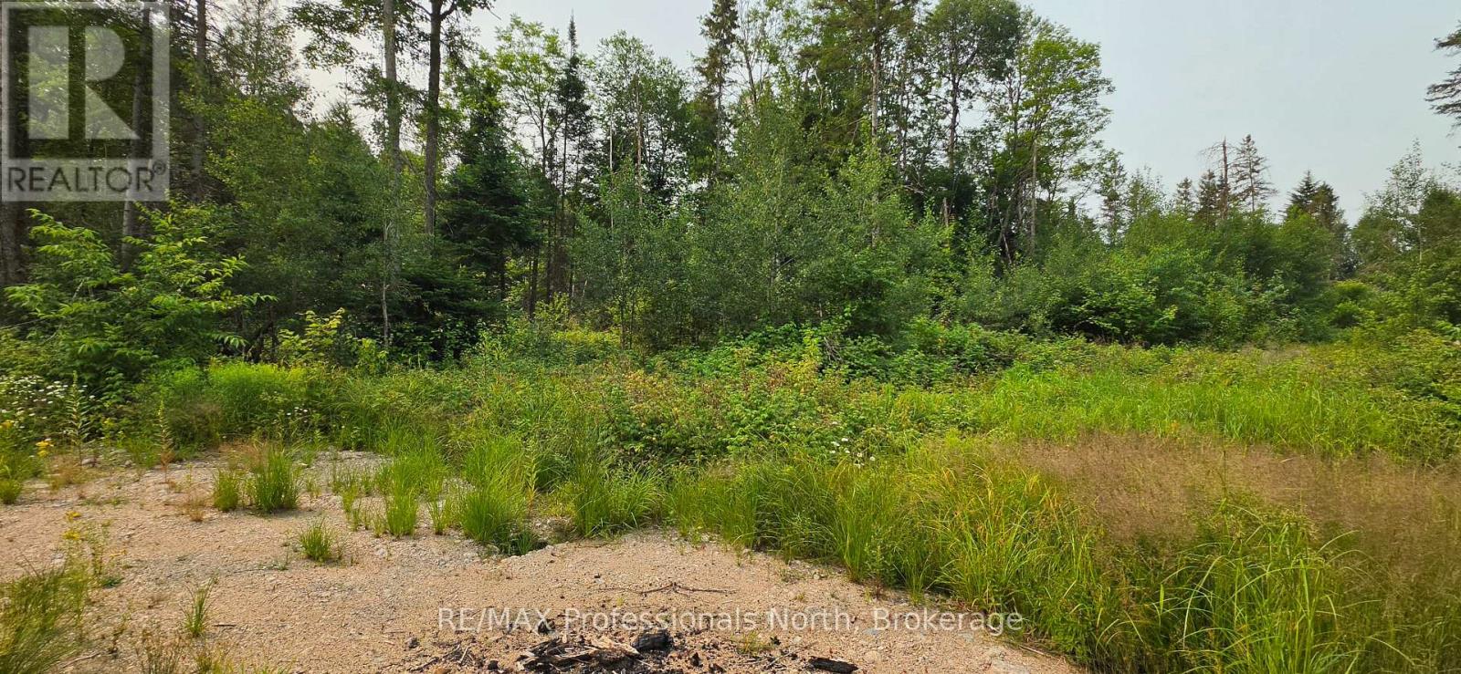 715 Pickeral And Jack Lake Road, Armour, Ontario  P0A 1J0 - Photo 5 - X13561650