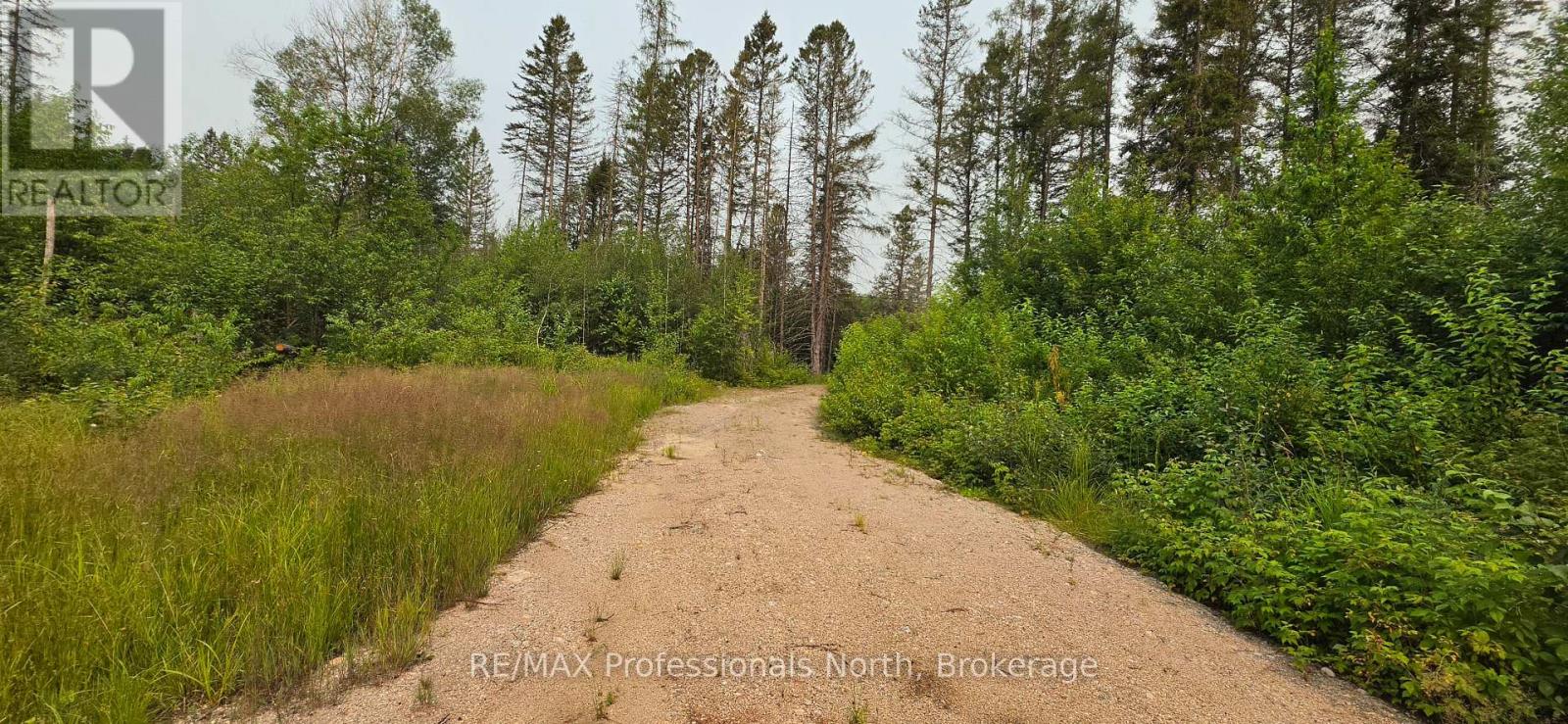 715 Pickeral And Jack Lake Road, Armour, Ontario  P0A 1J0 - Photo 6 - X13561650