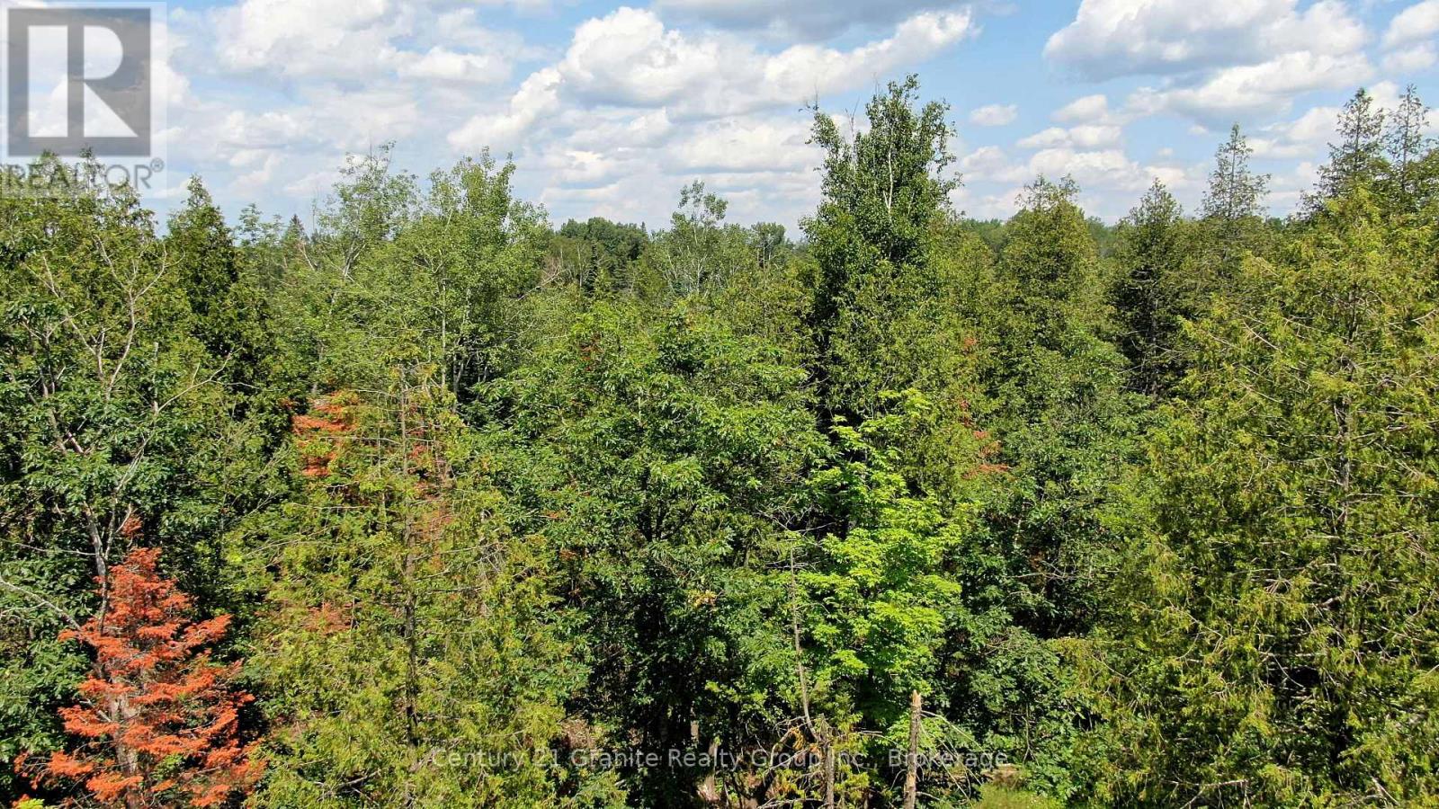 0 Old Hastings Road, Wollaston, Ontario  K0L 1C0 - Photo 11 - X13561604