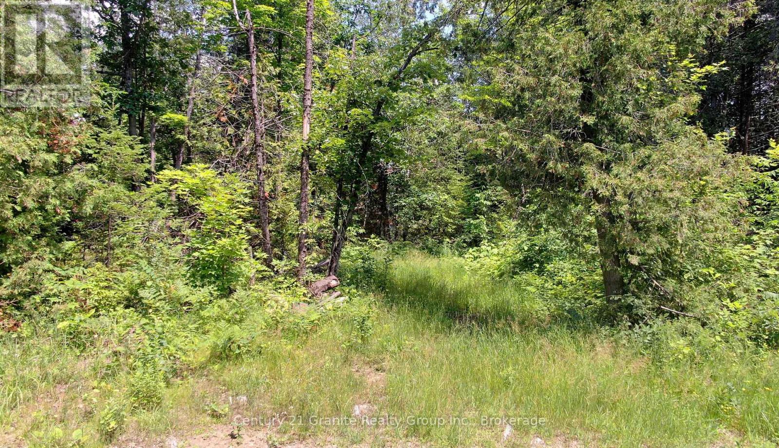 0 Old Hastings Road, Wollaston, Ontario  K0L 1C0 - Photo 2 - X13561604