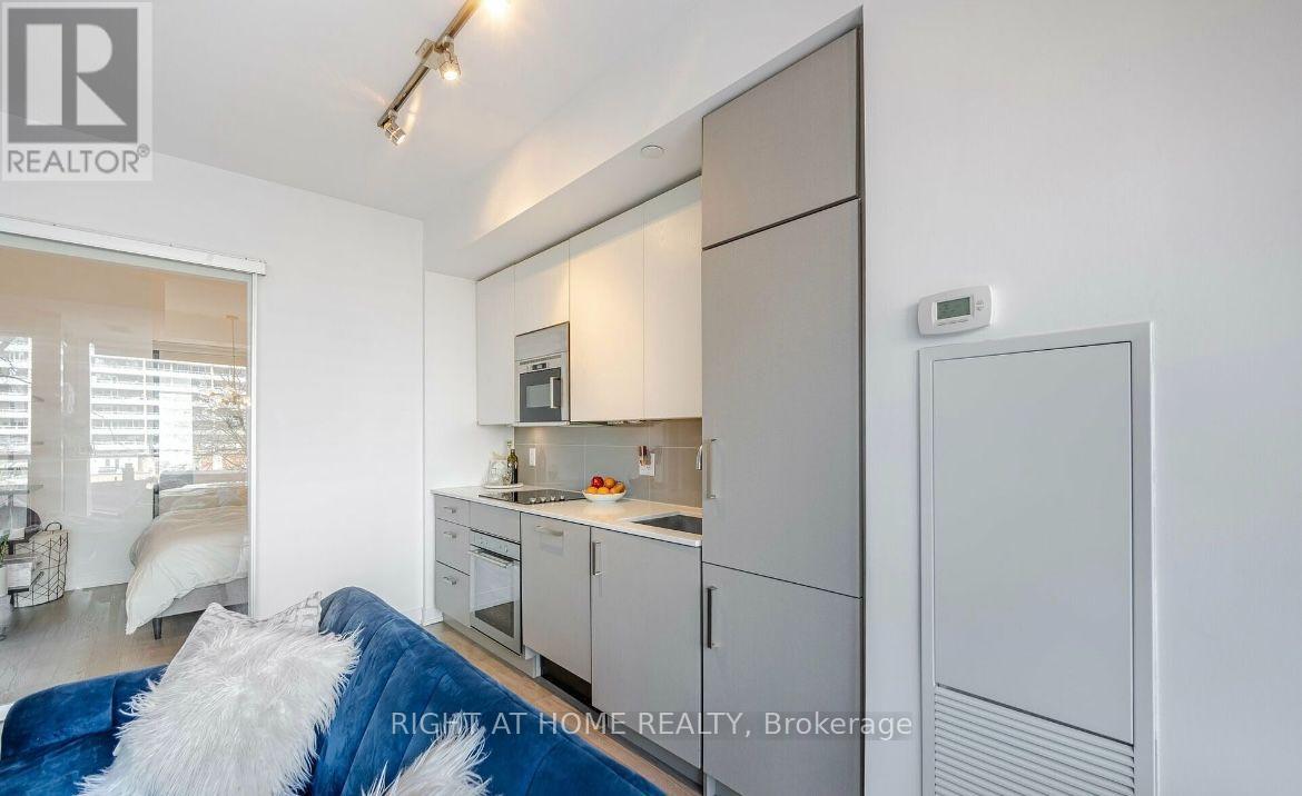 403 - 17 Dundonald Street, Toronto, Ontario  M4Y 0E4 - Photo 20 - C13562132