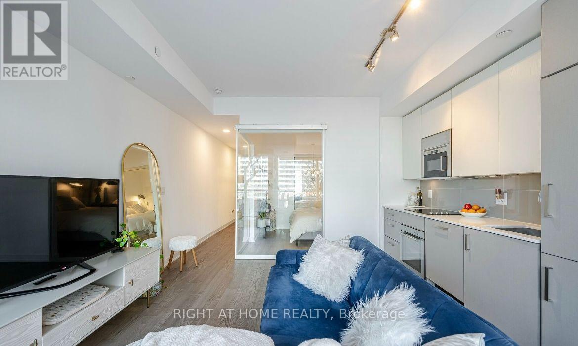 403 - 17 Dundonald Street, Toronto, Ontario  M4Y 0E4 - Photo 7 - C13562132