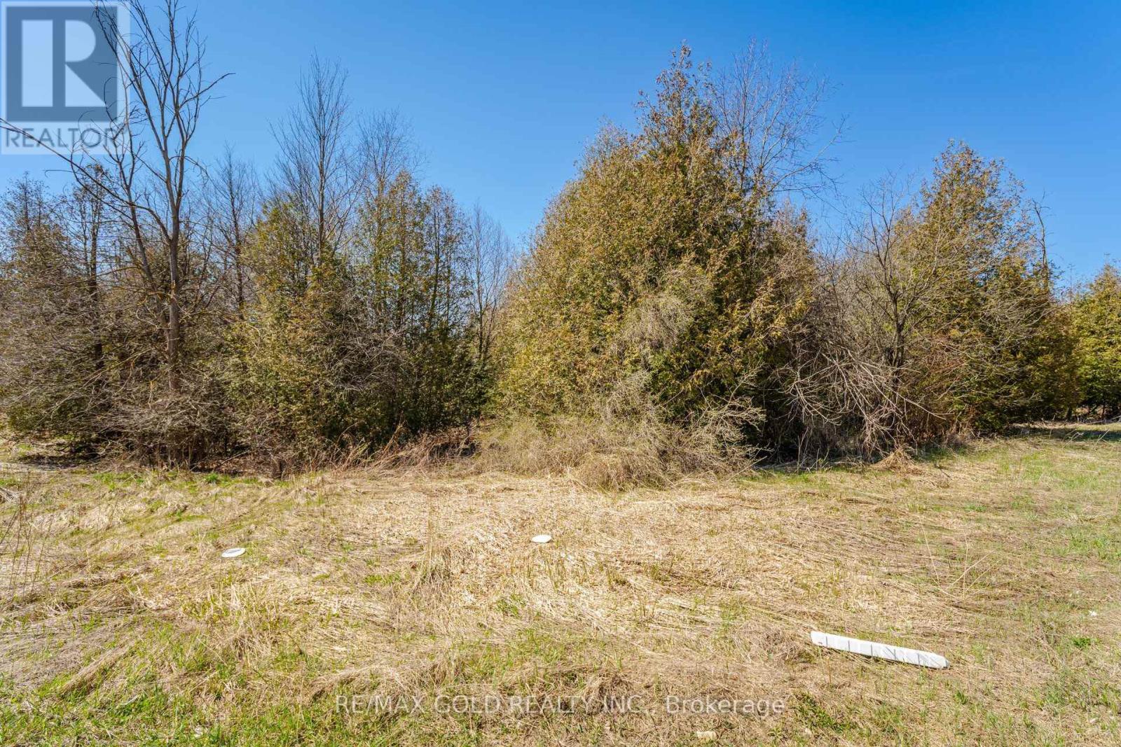 210 Chippewa Avenue, Shelburne, Ontario  L6S 0E9 - Photo 50 - X13562120