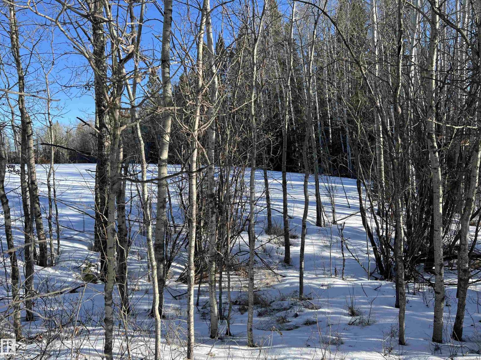 SE-12-49-8- W5m (Lot 2), Rural Brazeau County, Alberta  T0E 1Z0 - Photo 2 - E4478622