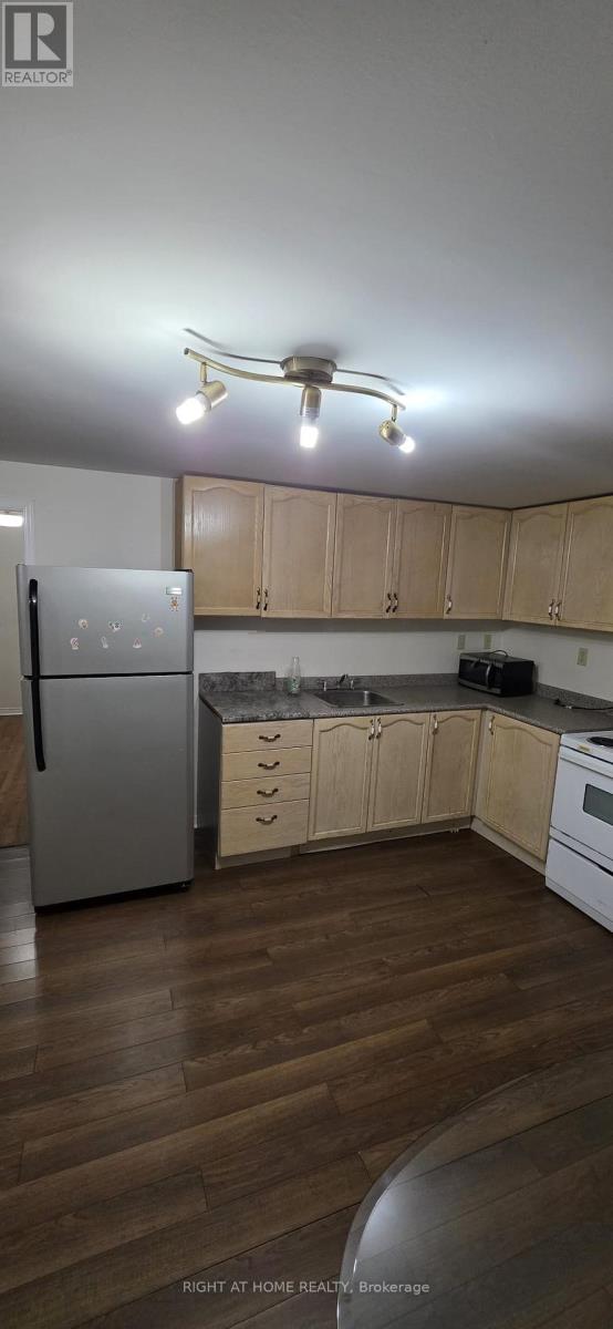 Lower - 369 Hickling Trail, Barrie, Ontario  L4M 6A9 - Photo 7 - S13524928