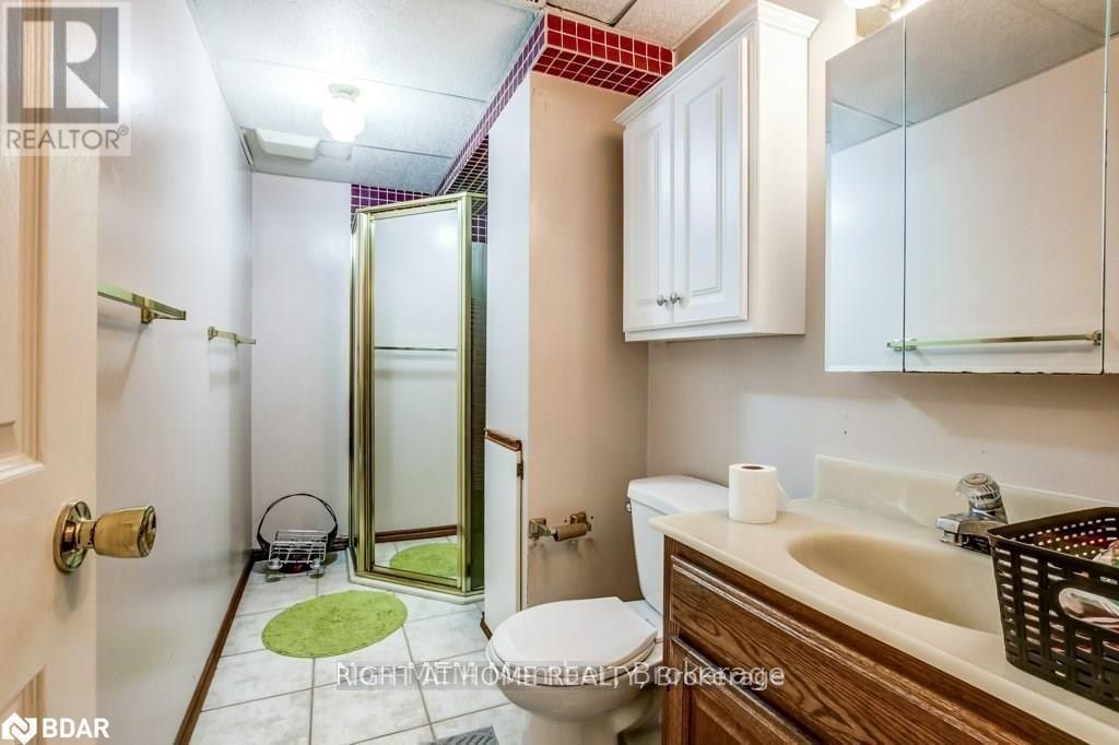 Lower - 369 Hickling Trail, Barrie, Ontario  L4M 6A9 - Photo 4 - S13524928