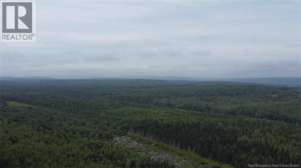 Off Drurys Cove Road, Ratter Corner, New Brunswick  E4E 3K9 - Photo 7 - NB144035