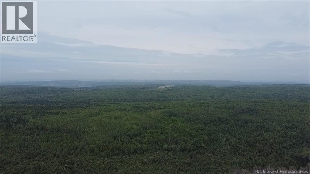 Off Drurys Cove Road, Ratter Corner, New Brunswick  E4E 3K9 - Photo 6 - NB144035