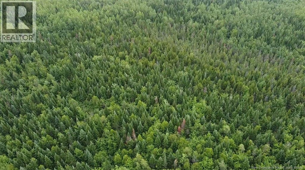 Off Drurys Cove Road, Ratter Corner, New Brunswick  E4E 3K9 - Photo 2 - NB144035